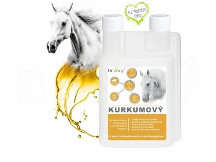 Dromy Kurkumový sirup 1000 ml