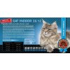 cat indoor