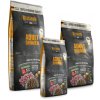rs3807 bb adult dinner gruppe 150901 mg hpr 1