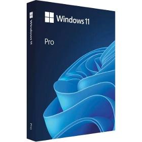 MICROSOFT Windows Pro 11 64-bit Slovak USB