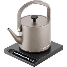 BM 503 Isabella kanvica Catler