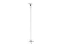 Vision Montážní sada (stropní montáž) - pro projektor - satin white - stropní montáž TM-1200
