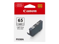 CANON Světle šedá - originální - inkoustový zásobník - pro PIXMA PRO-200 4222C001