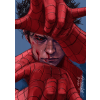 Spideyboth
