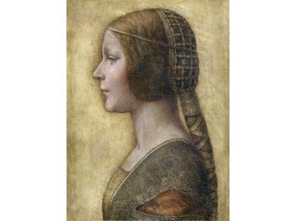 Leonardo Da Vinci 10
