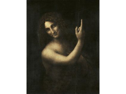 Leonardo Da Vinci 11