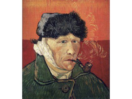 Vincent van Gogh 04