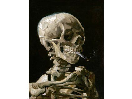 Vincent van Gogh 05