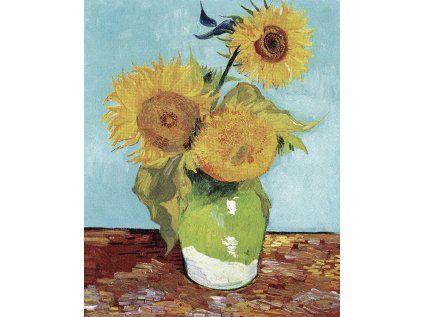 Vincent van Gogh 06