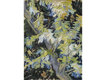 Vincent van Gogh 12