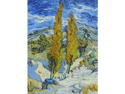 Vincent van Gogh 14