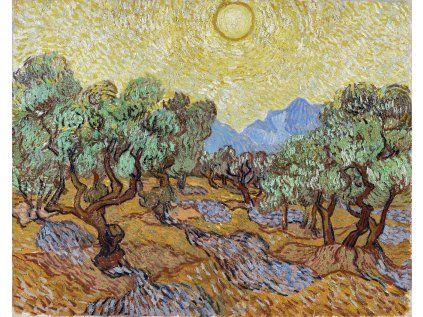 Vincent van Gogh 24