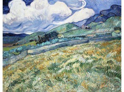Vincent van Gogh 25