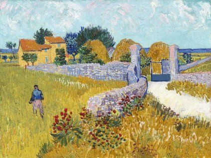 Vincent van Gogh 27