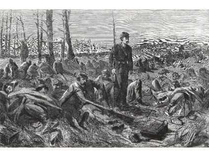 Winslow Homer 47
