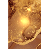 U ABS 000406