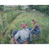 Camille Pissarro 23