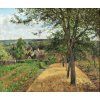 Camille Pissarro 35