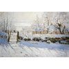 Claude Monet 14