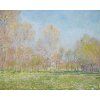 Claude Monet 15