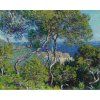 Claude Monet 20