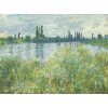 Claude Monet 21