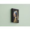 Johannes Vermeer 01 V3