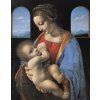 Leonardo Da Vinci 06