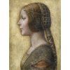 Leonardo Da Vinci 10