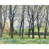 Paul Cezanne 20