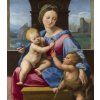 Raphael Raffaello 11