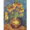 Vincent van Gogh 09
