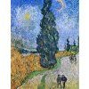 Vincent van Gogh 10