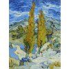 Vincent van Gogh 14