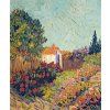 Vincent van Gogh 15