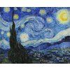 Vincent van Gogh 16