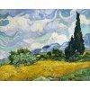 Vincent van Gogh 22