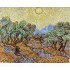 Vincent van Gogh 24