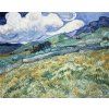 Vincent van Gogh 25