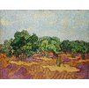 Vincent van Gogh 26