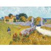 Vincent van Gogh 27