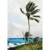 Winslow Homer 01