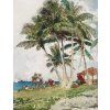 Winslow Homer 10