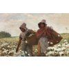 Winslow Homer 23