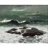 Winslow Homer 25