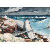 Winslow Homer 42