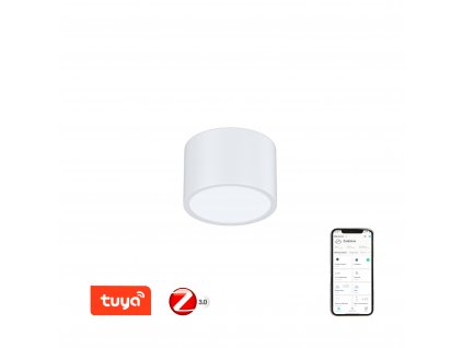 Immax NEO RONDATE Smart stropní svítidlo 15cm 12W bílé Zigbee 3.0