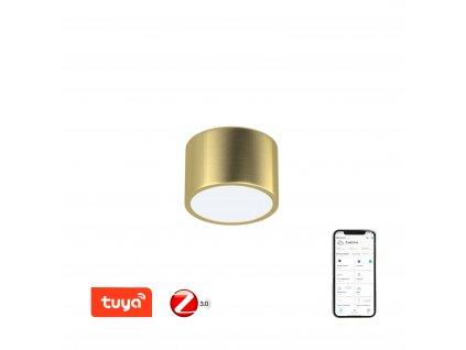 Immax NEO RONDATE Smart stropní svítidlo 15cm 12W zlaté Zigbee 3.0