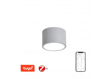 Immax NEO RONDATE Smart stropní svítidlo 15cm 12W šedé Zigbee 3.0