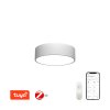 Immax NEO RONDATE Smart stropní svítidlo 40cm 25W bílé Zigbee 3.0